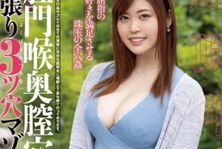 Uncensored MISM-211